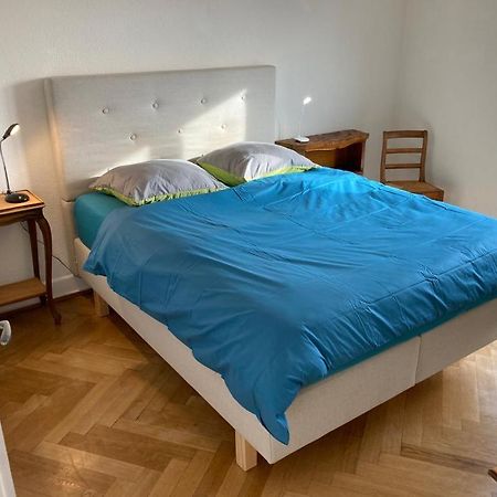 Joli 2 Pieces Dernier Etage, Lausanne Centre Dış mekan fotoğraf