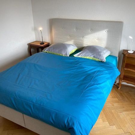 Joli 2 Pieces Dernier Etage, Lausanne Centre Dış mekan fotoğraf