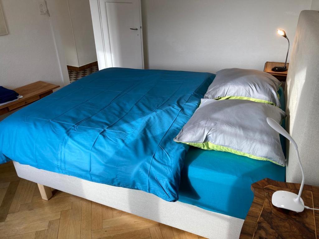 Joli 2 Pieces Dernier Etage, Lausanne Centre Dış mekan fotoğraf