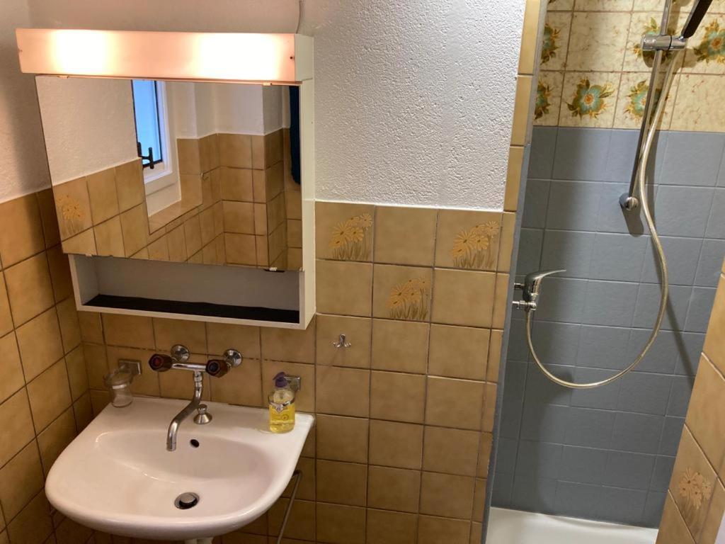 Joli 2 Pieces Dernier Etage, Lausanne Centre Dış mekan fotoğraf