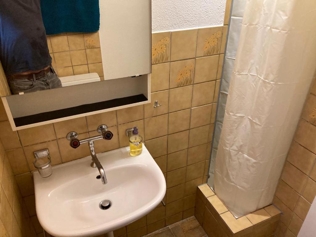 Joli 2 Pieces Dernier Etage, Lausanne Centre Dış mekan fotoğraf